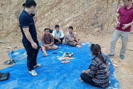 Khởi tố chục đối tượng đánh bạc trên bãi đất trống bìa rừng 