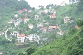 Cần một quyết định đúng để tránh "hoạ" về sau