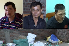 Nhóm đối tượng chuyện trộm cắp quạt trần của nhà hàng sa lưới