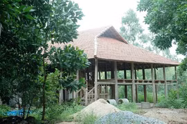 Xử lý triệt để sai phạm, không dung túng bao che 