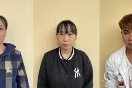 Đề nghị truy tố 3 đối tượng liên quan đến vụ huỷ hoại rừng