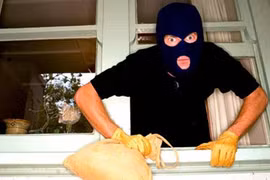 Bắt sống người nhện "kiếm ăn" lúc rạng sáng