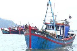 Quảng Ngãi: Nghiêm cấm tàu thuyền ra khơi