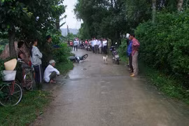 Quảng Ngãi: Hai người cùng thôn tông xe vào nhau làm 1 người tử vong 