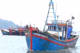 Quảng Ngãi: Nghiêm cấm tàu thuyền ra khơi