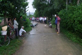 Quảng Ngãi: Hai người cùng thôn tông xe vào nhau làm 1 người tử vong 