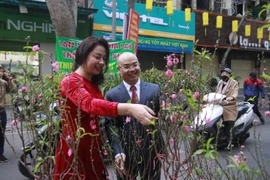 Danh sách 83 điểm chợ hoa Xuân phục vụ Tết Nguyên đán Giáp Thìn 2024 ở Hà Nội