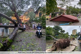 Hình ảnh về sự tàn phá khủng khiếp của cơn bão số 3 ở Hà Nội