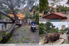 Hình ảnh về sự tàn phá khủng khiếp của cơn bão số 3 ở Hà Nội