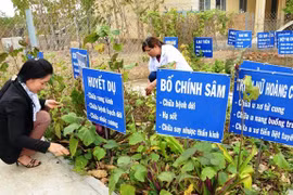 Hà Nội ưu tiên trồng xạ đen, đông trùng hạ thảo