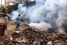 Hà Nội: Kiểm tra địa bàn có ca mắc sốt xuất huyết tăng cao trong tháng 11/2023