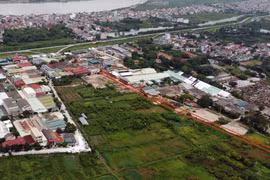 Hà Nội quy hoạch trung tâm văn hóa Phật giáo Thủ đô tại huyện Gia Lâm