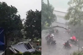 Chủ tịch Hà Nội yêu cầu lãnh đạo các đơn vị chủ động tới hiện trường chỉ đạo ứng phó bão số 3