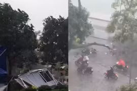 Chủ tịch Hà Nội yêu cầu lãnh đạo các đơn vị chủ động tới hiện trường chỉ đạo ứng phó bão số 3