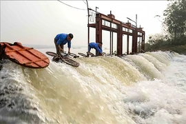 Hà Nội yêu cầu báo cáo tình hình quản lý, sử dụng tài sản hạ tầng thủy lợi