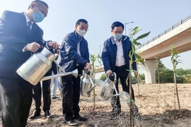 Lãnh đạo TP Hà Nội phát động Tết trồng cây nhớ ơn Bác Hồ đầu xuân Tân Sửu