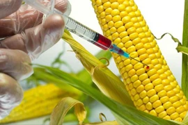 Hà Nội yêu cầu kiểm tra việc ghi nhãn thực phẩm có thành phần biến đổi gen 