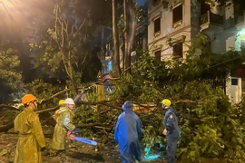 Chủ tịch Hà Nội chỉ đạo khẩn trương khắc phục hậu quả cơn bão số 3