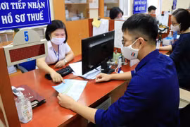 Hà Nội kiểm tra 11 đơn vị thuế về việc xử lý vi phạm hành chính trong năm 2025