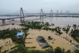Chủ tịch Hà Nội chỉ đạo hỏa tốc sẵn sàng phương án bảo vệ các tuyến đê xung yếu