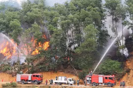 Điều tra, xử lý nghiêm các đối tượng vi phạm phòng cháy, chữa cháy rừng