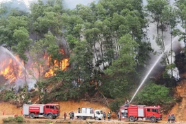 Điều tra, xử lý nghiêm các đối tượng vi phạm phòng cháy, chữa cháy rừng