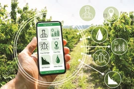 Hà Nội chọn xã Dương Xá, huyện Gia Lâm để thí điểm nông thôn mới thông minh