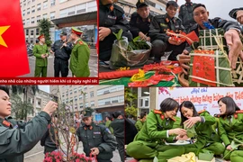 Mùa xuân nho nhỏ của những người hiếm khi có ngày nghỉ Tết