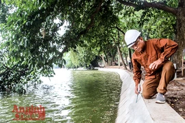 [ẢNH] Hoàn thành "áo mới" cho kè hồ Gươm