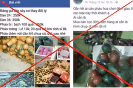 Xử lý nghiêm hành vi mua, bán pháo nổ trên mạng 