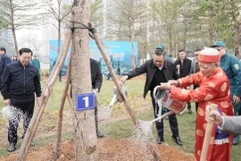 Chủ tịch Hà Nội trồng cây đầu Xuân ở công viên hồ Phùng Khoang