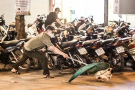 Hà Nội: Tăng cường hoạt động các đội bắt chó thả rông để phòng bệnh dại