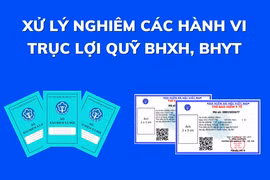 Hà Nội: Điều tra, xử lý hành vi gian lận, trục lợi bảo hiểm xã hội, y tế