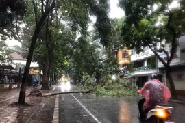 Thiết lập kênh thông tin quản lý học sinh tham gia các hoạt động hè đề phòng báo số 3