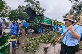 Hà Nội huy động xe tải của doanh nghiệp vào dọn dẹp cây đổ sau cơn bão số 3