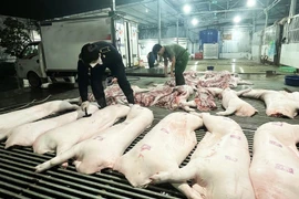 Lập danh sách, chấm dứt hoạt động cơ sở giết mổ không phép trong khu dân cư