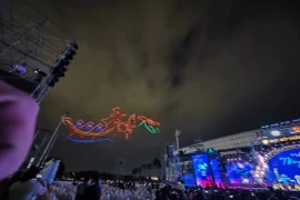 Hủy trình diễn drone hỏa thuật chào năm mới Ất Tỵ ở Hà Nội