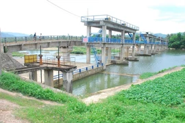 Hà Nội yêu cầu xử lý dứt điểm 220 vụ vi phạm phạm vi bảo vệ công trình thủy lợi 