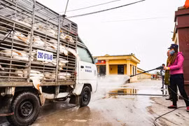 Hà Nội lập các đoàn kiểm tra cơ sở chăn nuôi, giết mổ động vật để phòng dịch bệnh