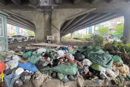 Kiểm tra, xử lý dứt điểm tình trạng đổ trộm rác trên Vành đai 2 và Vành đai 3