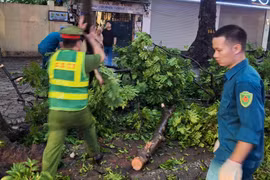 Chủ tịch Hà Nội ra công điện chỉ đạo loạt nhiệm vụ cần làm ngay để chủ động ứng phó bão số 3