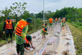 Hà Nội rà soát, đẩy nhanh giải ngân các công trình đê điều và phòng chống thiên tai