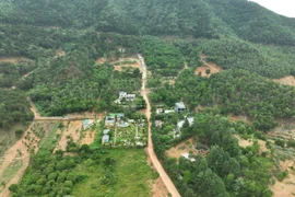 Huyện Sóc Sơn đã xử lý các vi phạm đất rừng đến đâu?