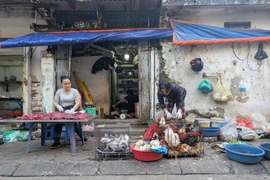 Sớm chấm dứt hoạt động giết mổ gia súc, gia cầm nhỏ lẻ, trái phép