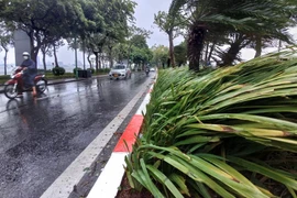 Chủ tịch Hà Nội chỉ đạo khẩn trương triển khai ứng phó siêu bão Ragasa