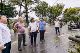 Chủ tịch Hà Nội kiểm tra việc khắc phục hậu quả mưa bão, chỉ đạo những việc cần làm ngay