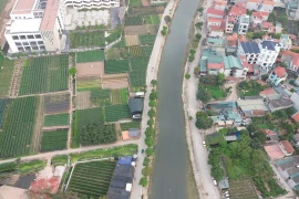 Hà Nội: Khẩn trương làm rõ tình trạng ô nhiễm nghiêm trọng nguồn nước sông Pheo