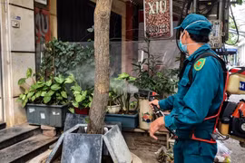 Hà Nội xây dựng bản đồ và xác định vùng dịch tễ bệnh ký sinh trùng 