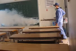 Hà Nội chỉ đạo loạt nhiệm vụ ngăn chặn bệnh dại, tay chân miệng, sốt xuất huyết