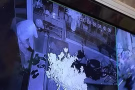 [Tin nhanh tối 19-8-2020] Điều tra vụ trộm cuỗm 350 cây vàng 